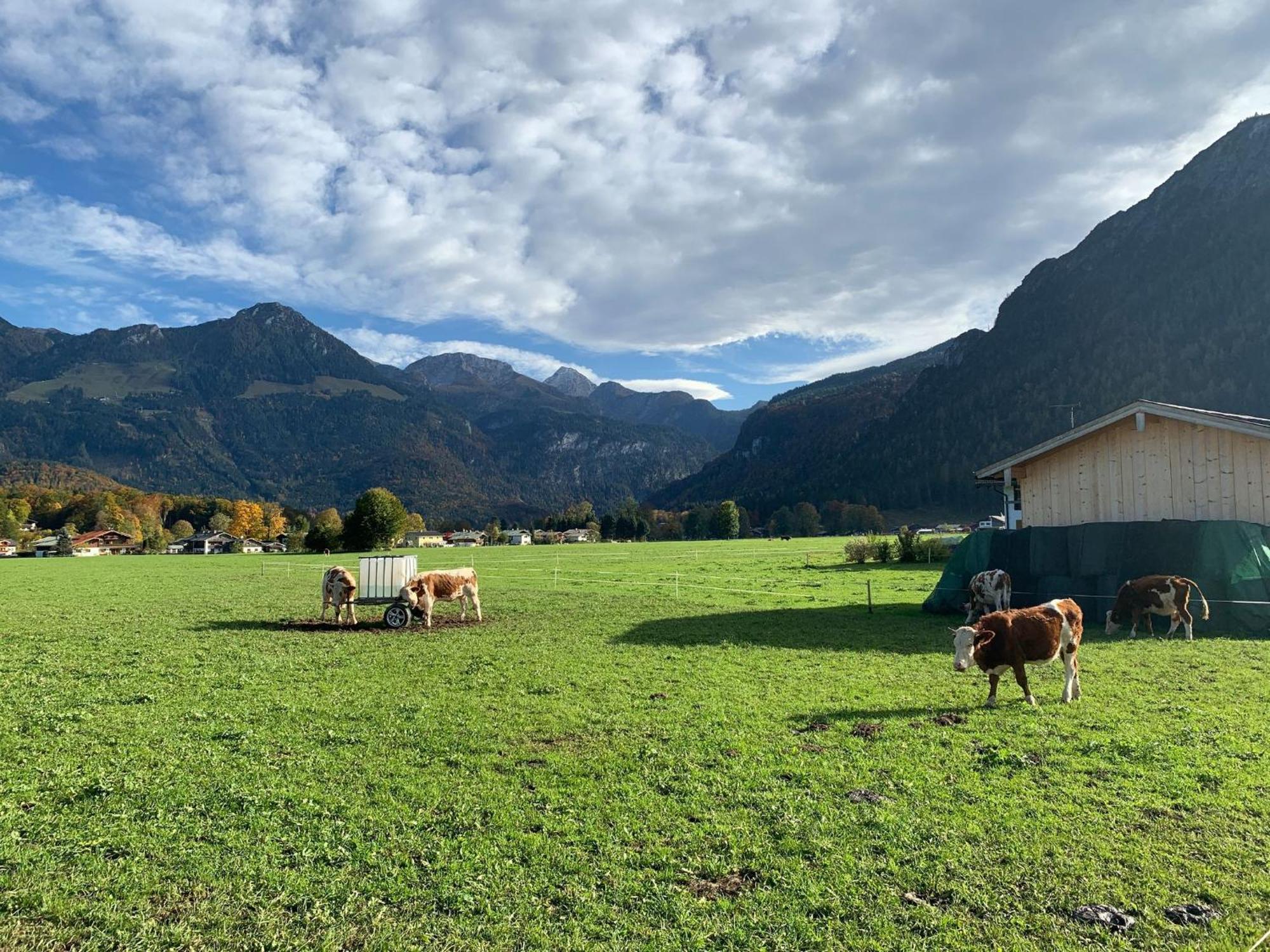 Ferienwohnung Hochkalterblick Schoenau am Koenigsee Exterior foto